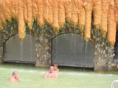15_turkey_82494.jpg