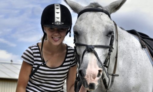 Stadnina koni w Manor House SPA Chlewiska