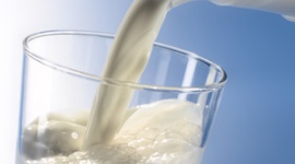 Znakomite wyniki I roku programu â€žMam kota na punkcie mlekaâ€