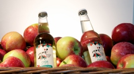 Dzik Polski Cydr na Święcie Młodego Cydru BIZNES, Konsument - Podczas Lubelskiego Święta Młodego Cydru, które odbędzie się już w najbliższy weekend, swoje stoisko zaprezentuje także Dzik Polski Cydr. Świeży, bo rozlewany prosto z beczki, wydaje się idealnie pasować do konceptu najbardziej jabłkowego pikniku w Polsce.