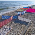 LeÅ¼ing, plaÅ¼ing, smaÅ¼ing iâ€¦ parawaning