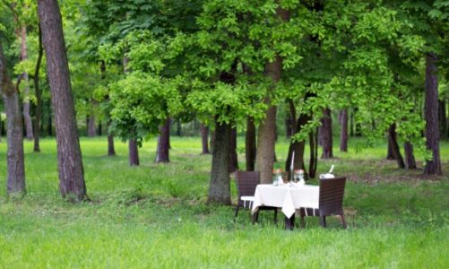 9 powodÃ³w, dla ktÃ³rych warto zorganizowaÄ‡ wesele w hotelu