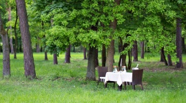 9 powodÃ³w, dla ktÃ³rych warto zorganizowaÄ‡ wesele w hotelu Styl Å¼ycia, LIFESTYLE - Åšlub to jedno z najwaÅ¼niejszych wydarzeÅ„ w Å¼yciu. Dlatego warto powierzyÄ‡ ten obowiÄ…zek doÅ›wiadczonej osobie, jakÄ… jest hotelarz. DziewiÄ™Ä‡ powodÃ³w, dla ktÃ³rych warto zorganizowaÄ‡ wesele w hotelu podaje MaÅ‚gorzata Kot, ZastÄ™pca Dyrektora Z-Hotel Business & Spa z Otwocka.