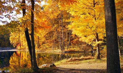 Jak zadbaÄ‡ o organizm w jesienne dni