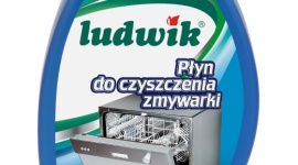ÅšwiÄ™ta bez niespodzianek, czyli jak zadbaÄ‡ o sprzÄ™t AGD z Ludwikiem