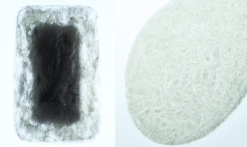 Agar – zwyciÄ™ski projekt Lexus Design Award 2016