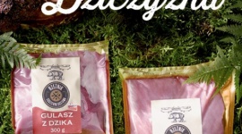 DZIK W LIDLU I NA TWOIM STOLE