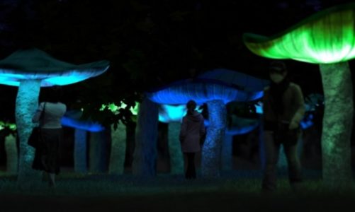 Light.Move.Festival. rozÅ›wietli centrum Åodzi