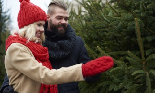 Nowy Rynek rozdaje choinki za zakupy