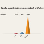 Liczba upadlosci konsumenckich otwartych na wniosek dluznik?w od poczatku tego roku podwoila