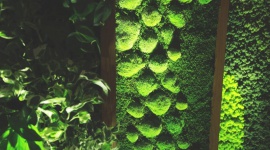 ZIELEÅƒ I ÅšWIATÅO Styl Å¼ycia, LIFESTYLE - Dobrze dobrane oÅ›wietlenie ma duÅ¼y wpÅ‚yw na jakoÅ›Ä‡ naszego Å¼ycia, podobnie jak wykorzystaniem zieleni zarÃ³wno na zewnÄ…trz, jak i wewnÄ…trz budynkÃ³w.