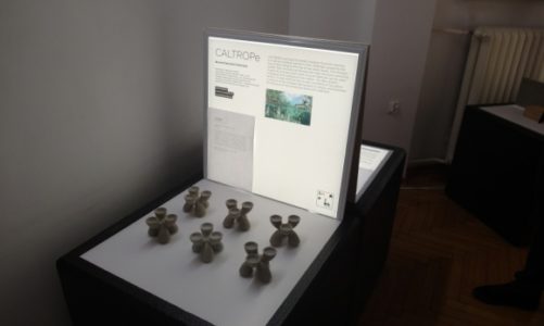 Shaping Hungary, czyli wÄ™gierski design w Warszawie
