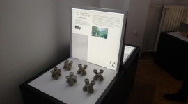 Shaping Hungary, czyli wÄ™gierski design w Warszawie Sztuka, LIFESTYLE - WystawÄ™ moÅ¼na oglÄ…daÄ‡ do 10 marca na Wydziale Wzornictwa ASP.