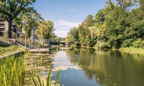 BezpÅ‚atny rejs z przewodnikiem na powitanie wiosny