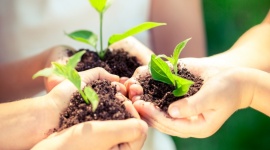 ZnajdÅº zielonÄ… planetÄ™ â€“ bezpÅ‚atne prelekcje i warsztaty Styl Å¼ycia, LIFESTYLE - Jak w prosty sposÃ³b wybudowaÄ‡ swojÄ… wÅ‚asnÄ… â€žfabrykÄ™ tlenuâ€? Czy za pomocÄ… roweru moÅ¼na przyrzÄ…dziÄ‡ zdrowy koktajl? Odpowiedzi na te pytania bÄ™dzie moÅ¼na poznaÄ‡ juÅ¼ 27 i 28 kwietnia w Magnolia Park, podczas ekologicznych warsztatÃ³w i prelekcji. WstÄ™p wolny.