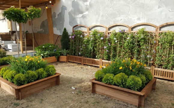 Odetchnij ZieleniÄ… na Otwartej ZÄ…bkowskiej! Styl Å¼ycia, LIFESTYLE - W wakacyjny weekend 1-2 lipca 2017 r. po raz trzeci wystartuje letnia odsÅ‚ona festiwalu OTWARTA ZÄ„BKOWSKA.