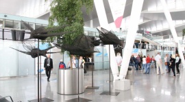 Ptaki Magdaleny Abakanowicz na wrocławskim lotnisku Sztuka, LIFESTYLE - Od 23 czerwca w hali ogólnodostępnej Portu Lotniczego Wrocław oraz w wielu rozpoznawalnych miejscach we Wrocławiu prezentowane są dzieła Magdaleny Abakanowicz.