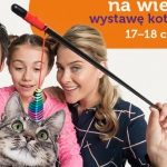 Kocie piÄ™knoÅ›ci w Europie Centralnej