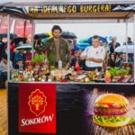 PlaÅ¼owanie z SokoÅ‚owem