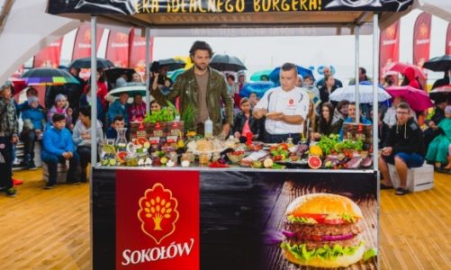 PlaÅ¼owanie z SokoÅ‚owem