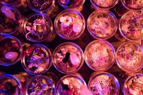 Festiwal Promised Land z markÄ… Deli Catering Styl życia, LIFESTYLE - Od 2 do 6 wrzeÅ›nia br. miasto Åódź zamieniÅ‚o siÄ™ w prawdziwÄ… mekkÄ™ dla profesjonalistów branży kreatywnej z caÅ‚ego Å›wiata. O kompleksowÄ… oprawÄ™ kulinarnÄ… wydarzenia zadbaÅ‚ lider na rynku usÅ‚ug cateringowych w zakresie kulinariów eventowych – marka Deli Catering.