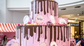 Urodziny Sukcesji Styl Å¼ycia, LIFESTYLE - 