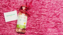 Oskoła – wypróbuj ją jeszcze dziś! Styl życia, LIFESTYLE - Są soki z warzyw i owoców, bardziej i mniej tropikalnych. Są nawet soki z kaktusa i innych oryginalnych roślin.