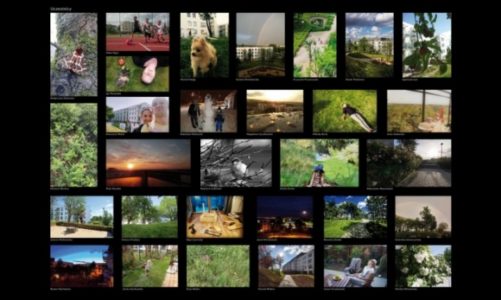 Osiedle okiem mieszkaÅ„cÃ³w. Konkurs fotograficzny w Wolnym MieÅ›cie.
