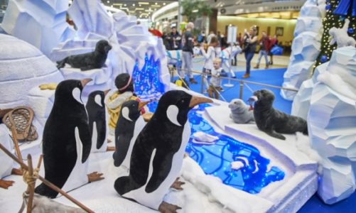 Coraz bliÅ¼ej ÅšwiÄ™ta! Atrakcje dla najmÅ‚odszych w Porcie ÅÃ³dÅº.