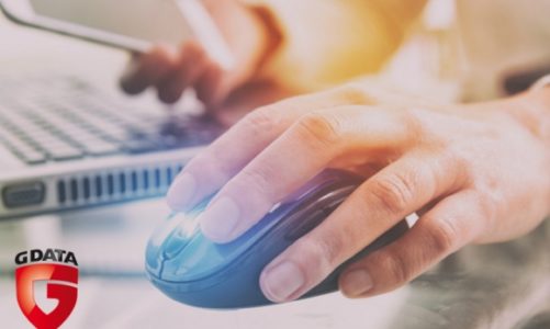 Internetowa prawda czy faÅ‚sz?