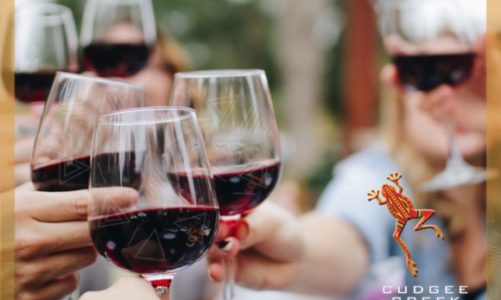 Imprezowy savoir vivre, czyli jak bawiÄ… siÄ™ Polacy