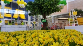 URODZINY PORTU ÅÓDŹ Styl życia, LIFESTYLE - TydzieÅ„ niesamowitych atrakcji 19 – 25 marca Ponad 7 tysiÄ™cy nagród do wylosowania!