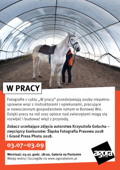 â€žW pracyâ€ - zobacz nagradzane zdjÄ™cia Krzysztofa GoÅ‚ucha Sztuka, LIFESTYLE - IntrygujÄ…ce Å›wiatÅ‚o, piÄ™kna przyroda i waÅ¼ny spoÅ‚ecznie projekt â€“ to wyrÃ³Å¼niki twÃ³rczoÅ›ci nagradzanego w kraju i za granicÄ… Å›lÄ…skiego fotografa Krzysztofa GoÅ‚ucha. WernisaÅ¼ wystawy jego zdjÄ™Ä‡ â€žW pracyâ€ odbÄ™dzie siÄ™ 3 lipca w Agorze Bytom. WstÄ™p wolny.