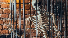 5 pomysÅ‚Ã³w na spÄ™dzenie Halloween Styl Å¼ycia, LIFESTYLE - Nawet jeÅ›li Halloween nie jest typowo polskim zwyczajem, nic nie stoi na przeszkodzie, by podejÅ›Ä‡ do niego z przymruÅ¼eniem oka i wykorzystaÄ‡ do zrobienia czegoÅ› ciekawego. Przedstawiamy kilka niebanalnych propozycji.