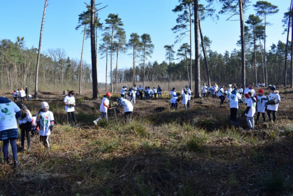 Już 30 000 drzew posadzonych! Styl życia, LIFESTYLE - Kolejna edycja ekologicznego projektu firmy Tikkurila.