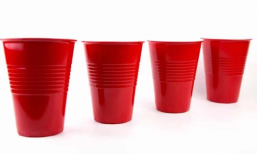 NajwiÄ™kszy Cup Song w Polsce w WÄ…brzeÅºnie