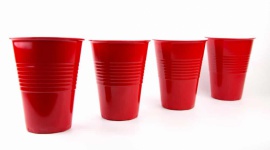 NajwiÄ™kszy Cup Song w Polsce w WÄ…brzeÅºnie Styl Å¼ycia, LIFESTYLE - Stowarzyszenie â€œPrzyjaciele Wroniaâ€ we wspÃ³Å‚pracy ze SzkoÅ‚ami Podstawowymi Gminy RyÅ„sk, juÅ¼ 31 maja 2019 roku podejmie siÄ™ pierwszej w Polsce, oficjalnej prÃ³by ustanowienia Rekordu Polski na najwiÄ™cej osÃ³b grajÄ…cych na kubeczkach (wykonujÄ…cych Cup Song) jednoczeÅ›nie.