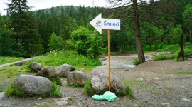 OchroniÄ‡ przyrodÄ™ przed Å›mieciami - Czyste Tatry ekoMaÅ‚opolska 2019 Styl Å¼ycia, LIFESTYLE - W wakacje najpiÄ™kniejsze miejsca w Polsce przeÅ¼ywajÄ… prawdziwe oblÄ™Å¼enie, niestety nie tylko przez turystÃ³w, ale teÅ¼ przez pozostawiane przez nich Å›mieci. Nie ma lepszego sposobu na walkÄ™ z tym problemem niÅ¼ edukacja, o czym przypomni projekt Czyste Tatry.