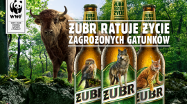 Å»ubr znika z etykietâ€¦ na rzecz zagroÅ¼onych gatunkÃ³w