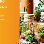 W Å›wiecie roÅ›lin #3 â€žLas w szkleâ€ – Badyle | Empik Plac WolnoÅ›ci