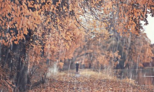 Depresja sezonowa â€“ jak sobie z niÄ… poradziÄ‡?