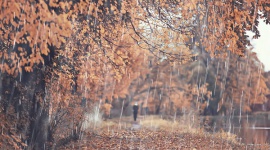 Depresja sezonowa â€“ jak sobie z niÄ… poradziÄ‡? Styl Å¼ycia, LIFESTYLE - Coraz krÃ³tsze i na dodatek deszczowe dni, czÄ™sto sprawiajÄ…, Å¼e trudniej nam odczuwaÄ‡ radoÅ›Ä‡. JesteÅ›my senni, apatyczni, spada nam samoocena, chÄ™tniej siÄ™gamy po niezdrowe przekÄ…ski, bÄ…dÅº przeciwnie, zanika nam apetyt. Szacuje siÄ™, Å¼e sezonowe zaburzenia afektywne, zwane (...)