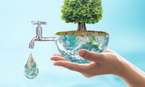 L`OrÃ©al na rzecz Å›rodowiska naturalnego