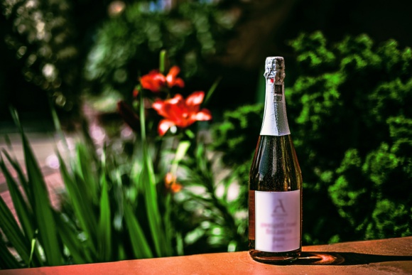 Jakie wina najlepiej smakujÄ… w ciepÅ‚e dni? Styl Å¼ycia, LIFESTYLE - SÅ‚oneczne popoÅ‚udnie na balkonie, czy ciepÅ‚y wieczÃ³r w przydomowym ogrodzie warto uprzyjemniÄ‡ sobie kieliszkiem delikatnego, orzeÅºwiajÄ…cego i dobrze schÅ‚odzonego wina. Podpowiadamy jakie wina najlepiej smakujÄ… o tej porze roku.