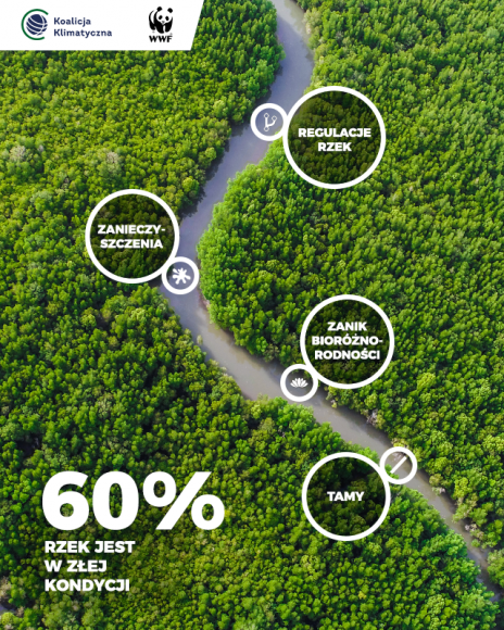 Co z tÄ… wodÄ…? Jak przeciwdziaÅ‚aÄ‡ wyniszczajÄ…cej suszy? Styl Å¼ycia, LIFESTYLE - Czy to moÅ¼liwe, Å¼e ktÃ³regoÅ› dnia woda w kranie przestanie pÅ‚ynÄ…Ä‡? TrwajÄ…ca wÅ‚aÅ›nie kampania â€žCo z tÄ… wodÄ…?â€ ma uÅ›wiadomiÄ‡ nam, jakie mamy zasoby wodne oraz dlaczego i jak powinniÅ›my o nie zadbaÄ‡. WiÄ™cej informacji w serwisie www.coztawoda.pl oraz w SM Koalicji Klimatycznej.