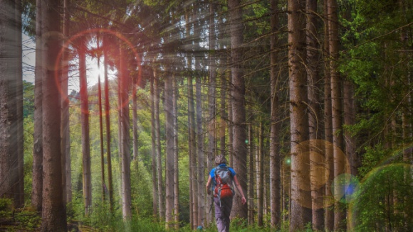 Urlop w stylu eko. O czym pamiÄ™taÄ‡ podczas wakacji na Å‚onie natury Styl Å¼ycia, LIFESTYLE - Rezygnacja z zagranicznych wyjazdÃ³w to dla czÄ™Å›ci osÃ³b doskonaÅ‚a okazja do zwiedzenia niepoznanych dotÄ…d regionÃ³w Polski. WybierajÄ…c tego rodzaju miejsca, warto sobie przypomnieÄ‡, jak postÄ™powaÄ‡, by nie wyrzÄ…dziÄ‡ szkody przyrodzie.