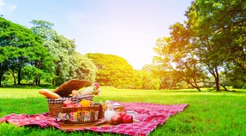 Wakacyjny piknik â€“ jak zorganizowaÄ‡ idealne spotkanie z najbliÅ¼szymi?