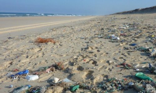 Wakacje w zgodzie z naturÄ…. Nie zmieniaj kurortÃ³w w Å›mietniska