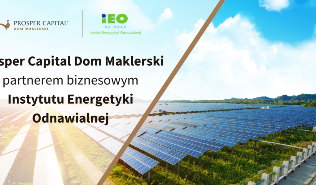 Lokowanie kapitalu w sektorze odnawialnych zr?del energii