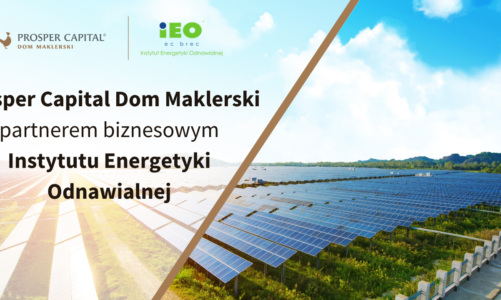 Lokowanie kapitalu w sektorze odnawialnych zr?del energii